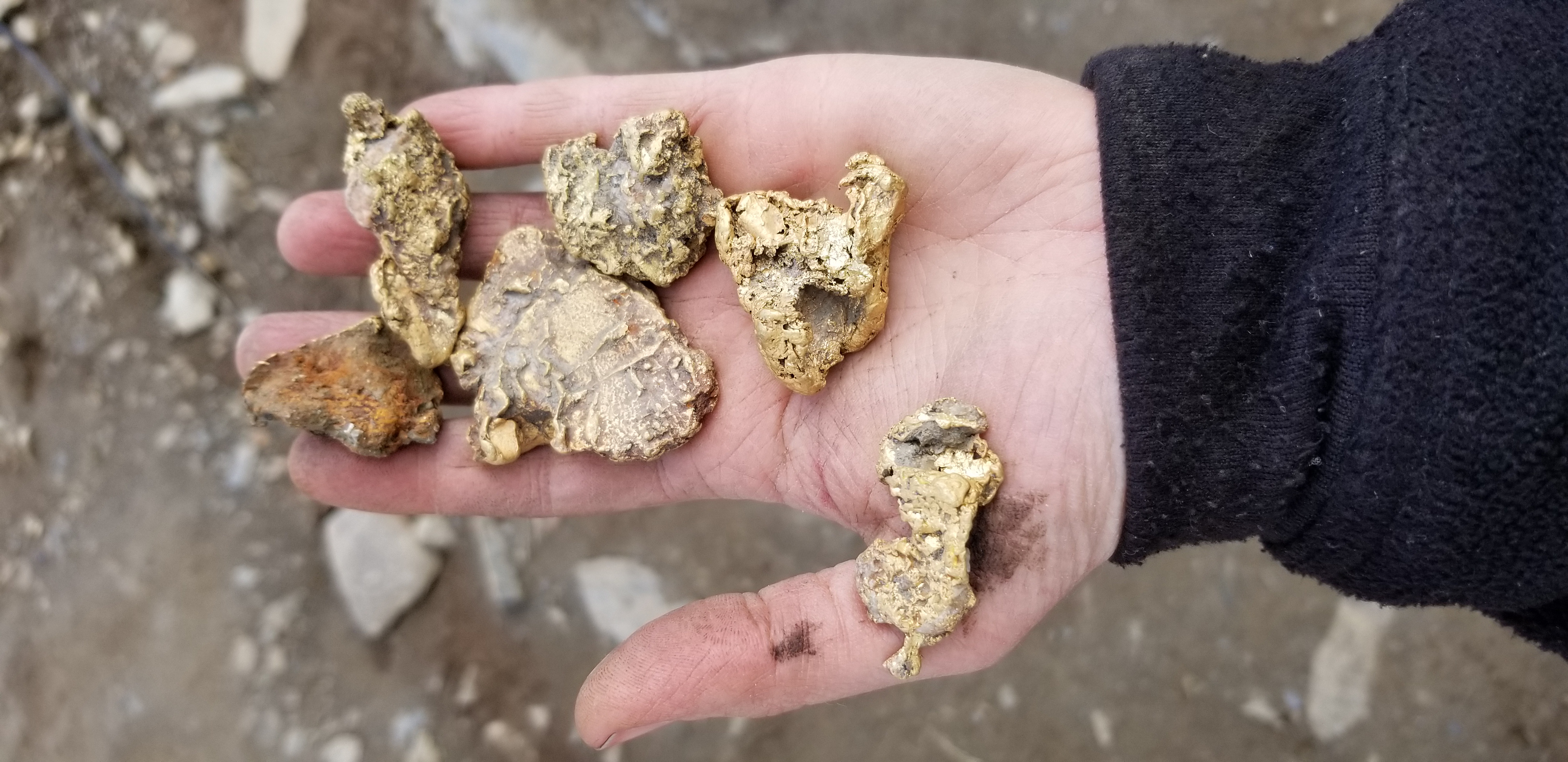 Gold from Granite creek placer 2020 (Photo: Earth and Iron)